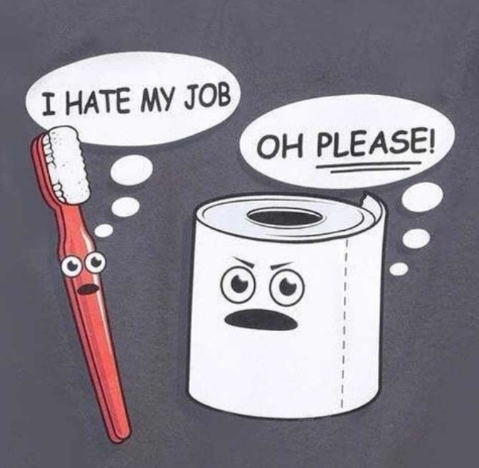 toothbrush_toilet_paper