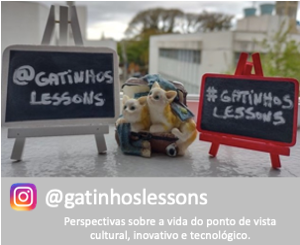 gatinhos lessons